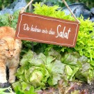 Schild Da haben wir den Salat