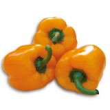 Paprika Gourmet Orange