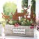 Mini-Steckfiguren "Wald" in Holzbox Frohe Weihnachten