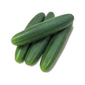 griechischer bergtee saatgut Griechischer Bergtee kaufen | Sideritis syriaca main image 0