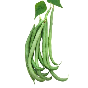 bio gemüse saatgut Saatgut Mix 