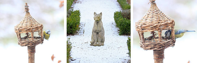 Fotogarten im Winter